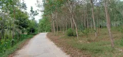 ที่ดิน หาดใหญ่ รูปที่ 1