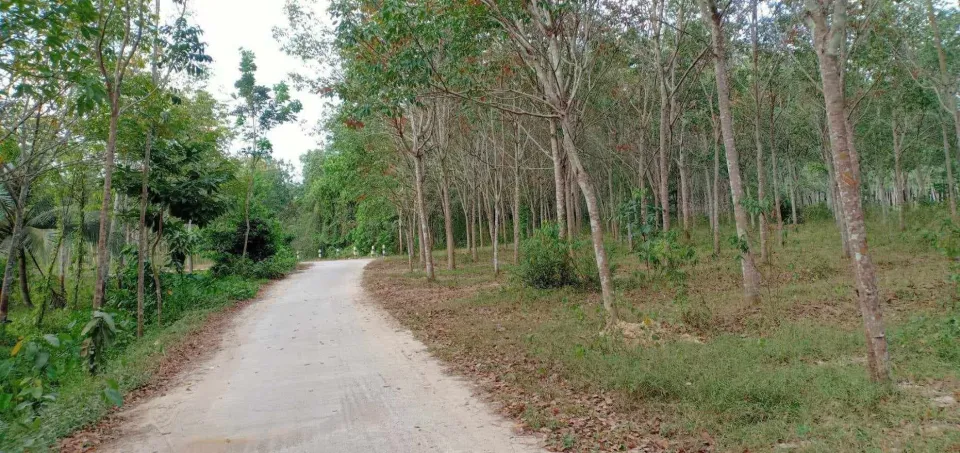 ที่ดิน หาดใหญ่
