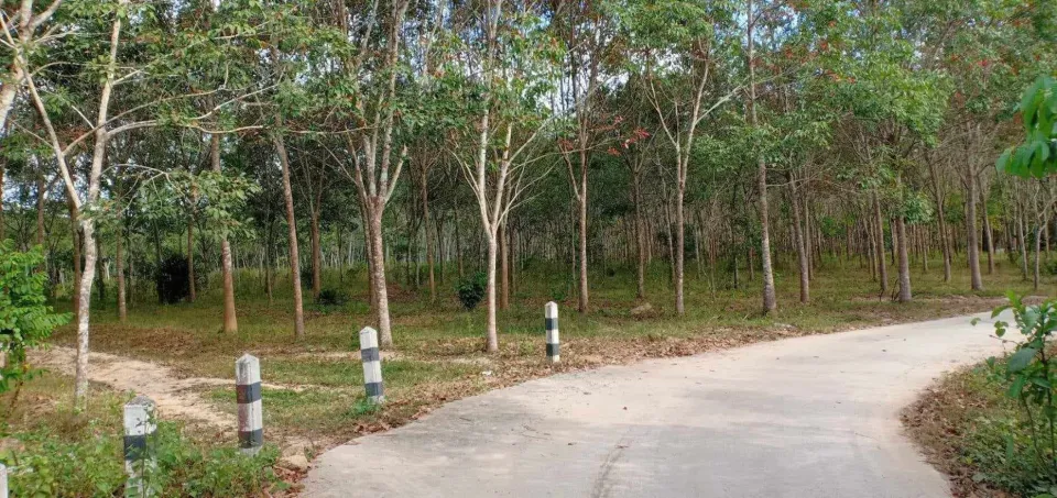 ที่ดิน หาดใหญ่